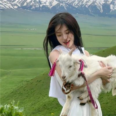 百花缭乱 武士少女 特典封面