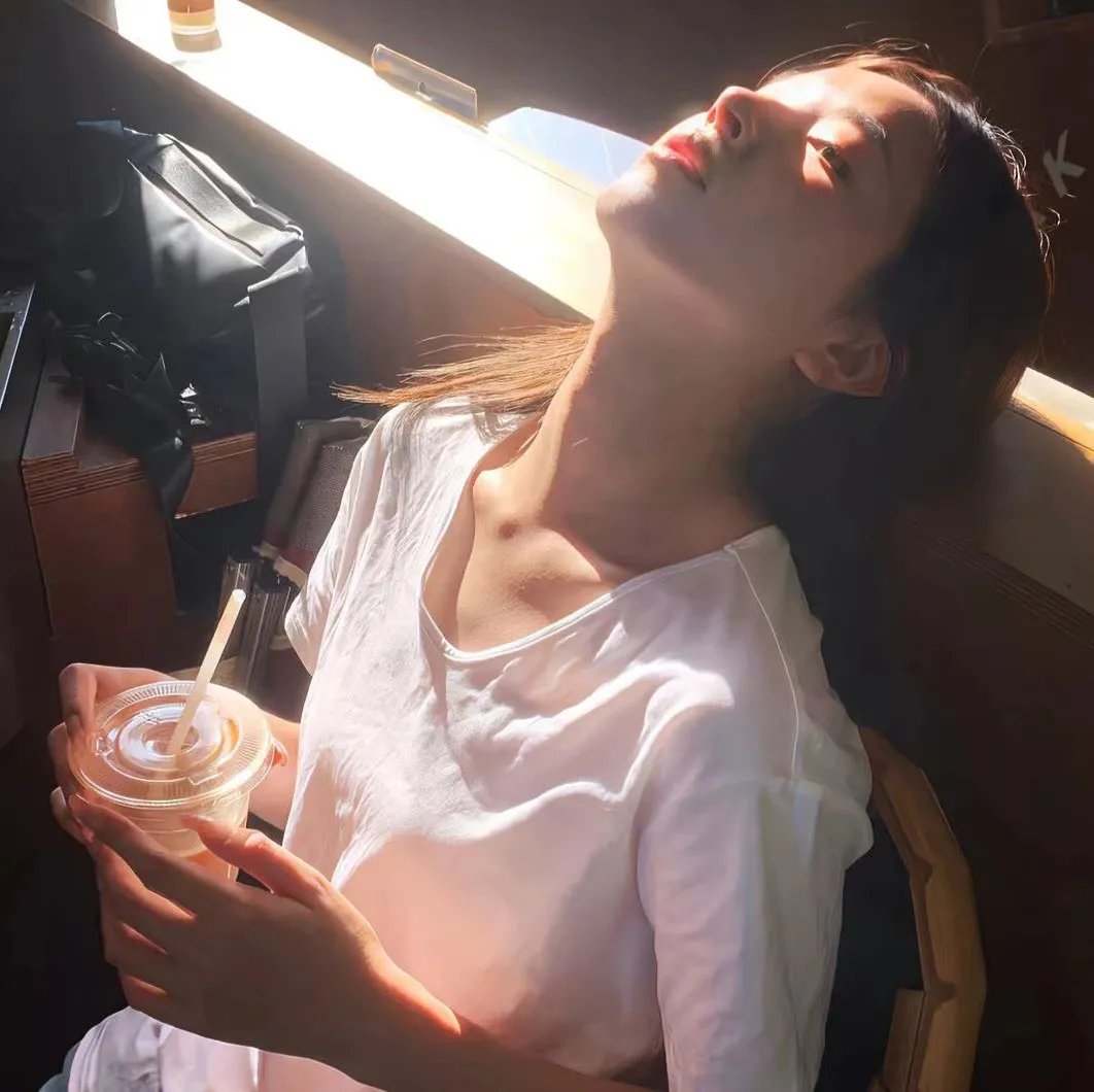 鸟与蜜蜂封面